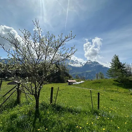 Bruenig Lägenhet Meiringen