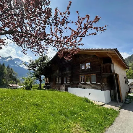 Bruenig Lejlighed Meiringen