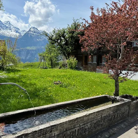 Bruenig * Meiringen