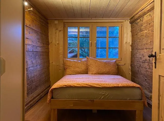 Bruenig Lejlighed Meiringen