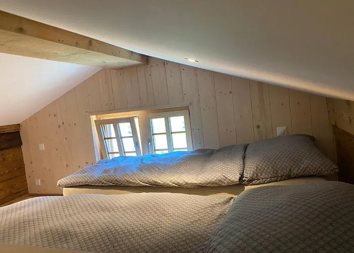 Апартаменты Bruenig *