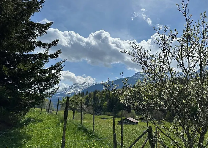 Bruenig Lejlighed Meiringen