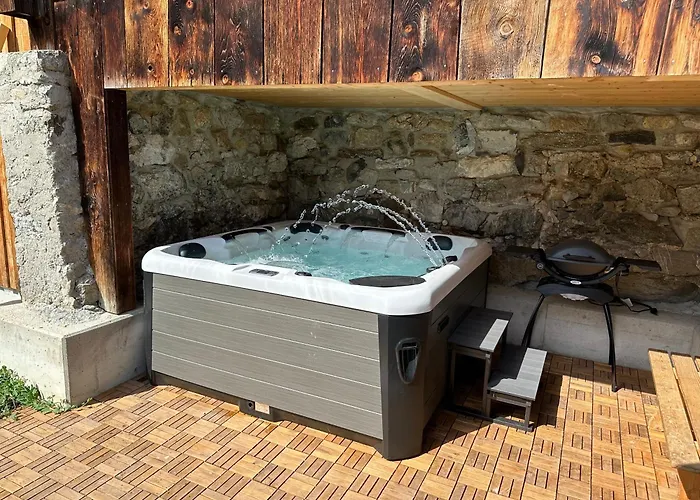 Bruenig Lejlighed Meiringen