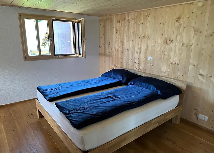 Bruenig Lejlighed Meiringen