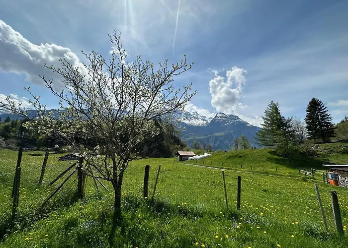 Bruenig Appartamento Meiringen