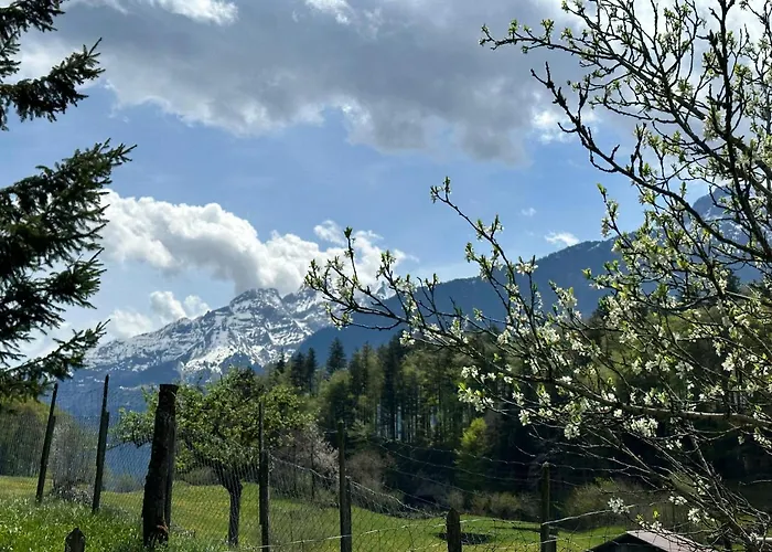 Bruenig Appartamento