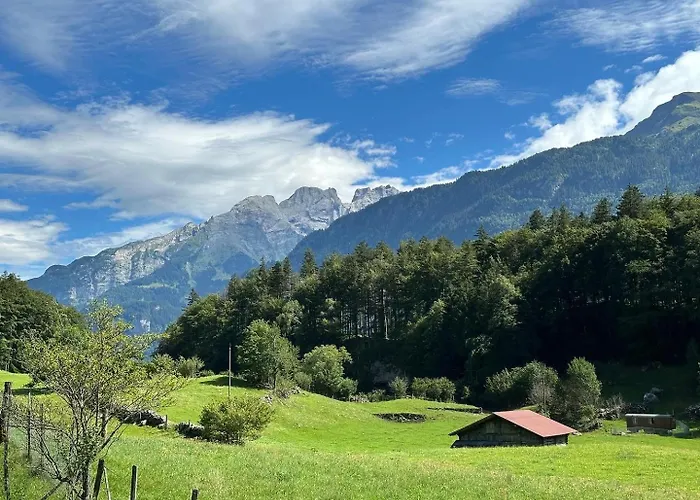 Bruenig Appartamento Meiringen